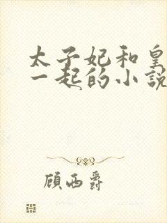 太子妃和皇上在一起的小说