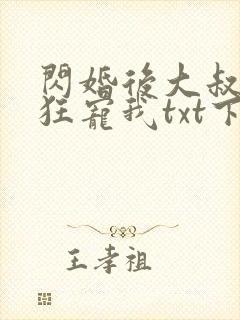 闪婚后大叔每天狂宠我txt下载封面