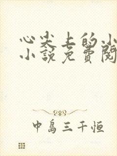 心尖上的小夫郎小说免费阅读无弹窗全文