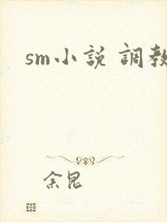 sm小说 调教