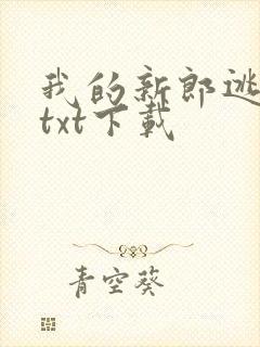 我的新郎逃婚了txt下载