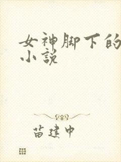 女神脚下的贱狗小说