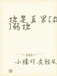 攻是直男[总攻]弱攻