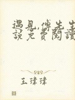 遇见,傅先生小说免费阅读