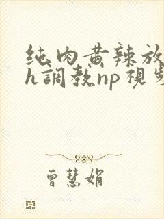 纯肉黄辣放荡高h调教np视频封面