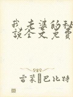 我老婆的秘密小说全文免费阅读