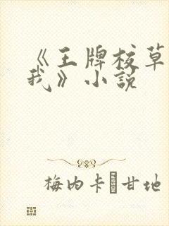 《王牌校草别惹我》小说