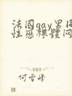 法国gay男同性恋裸体网址