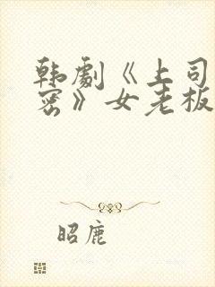 韩剧《上司的秘密》女老板