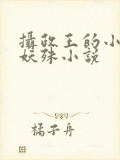 摄政王的小闲妻妖殊小说