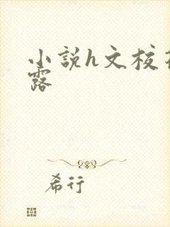 小说h文校花暴露