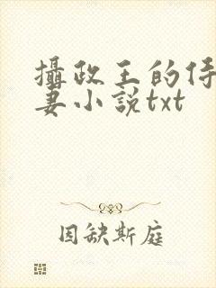 摄政王的侍爱逃妻小说txt