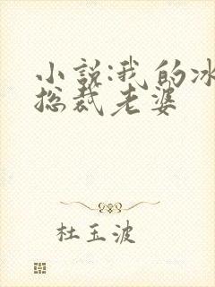 小说:我的冰山总裁老婆