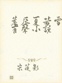 叶辰夏若雪孙怡有声小说