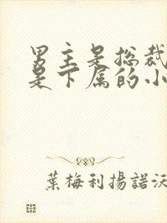 男主是总裁女主是下属的小说