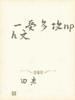 一受多攻np肉h文