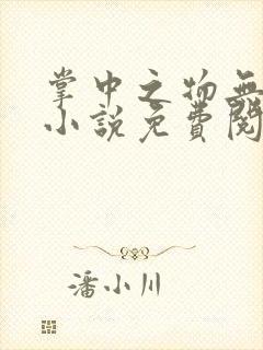 掌中之物无删减小说免费阅读全文