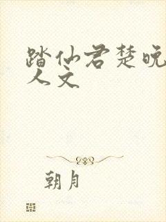 踏仙君楚晚宁同人文