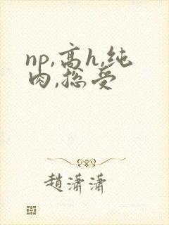 np,高h,纯肉,总受