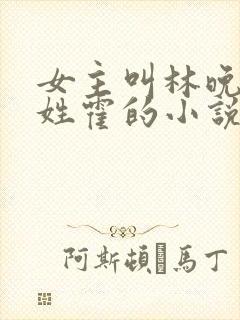 女主叫林晚男主姓霍的小说