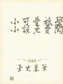 小可爱放学别走小说免费阅读全文封面