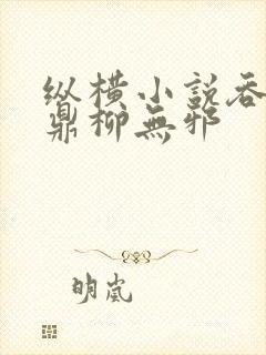 纵横小说吞天神鼎柳无邪