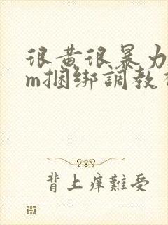 很黄很暴力的sm捆绑调教视频网站