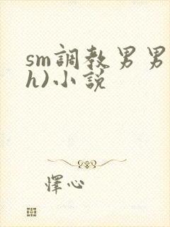 sm调教男男(h)小说