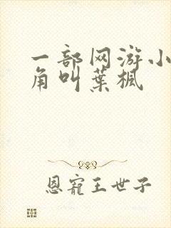 一部网游小说主角叫叶枫