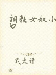 调教女奴小说重口封面