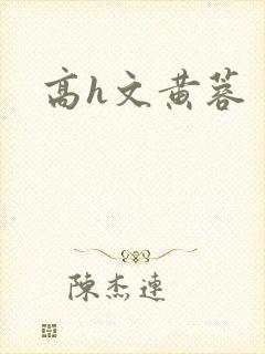 高h文黄蓉封面