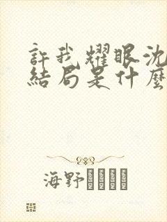 许我耀眼沈皓明结局是什么封面