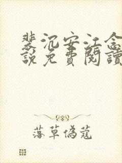 裴沉安江念意小说免费阅读最新章节