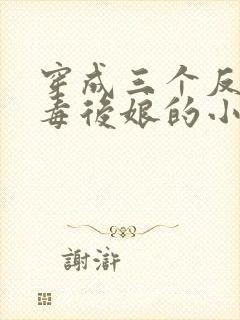 穿成三个反派恶毒后娘的小说