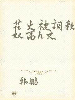 花火被调教成肉奴高h文封面
