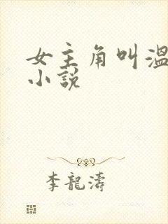 女主角叫温柔的小说