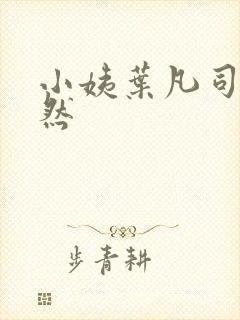 小姨叶凡司空嫣然