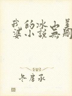 我的冰山美女老婆小说无删减