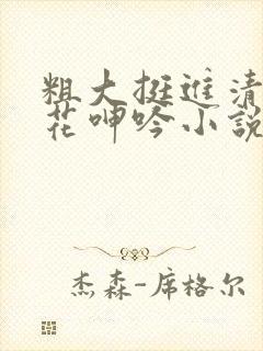 粗大挺进清纯校花呻吟小说