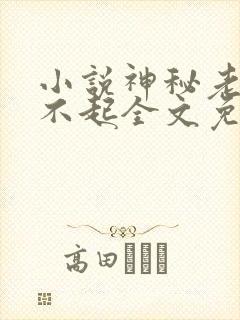 小说神秘老公惹不起全文免费阅读