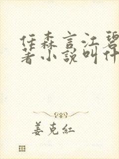 任森言江碧茵原著小说叫什么