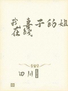 我妻子的姐姐 在线