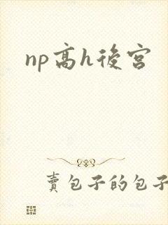 np高h后宫