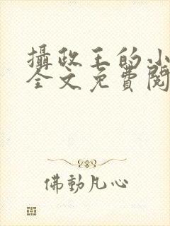 摄政王的小王妃全文免费阅读