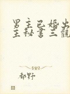 男主已婚出轨女主秘书三观不正小说封面