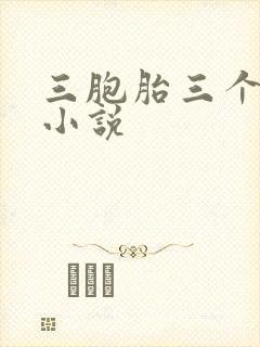 三胞胎三个爹的小说
