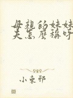 母亲的妹妹的丈夫怎么称呼