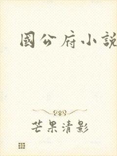 国公府小说