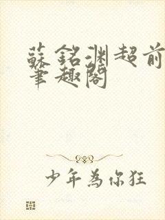 苏铭渊超前更新笔趣阁