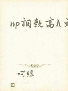 np调教高h文